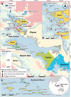 Insights into the visitations of oceanic manta rays at cleaning stations on coral reefs in the Bird's Head Seascape, eastern Indonesia